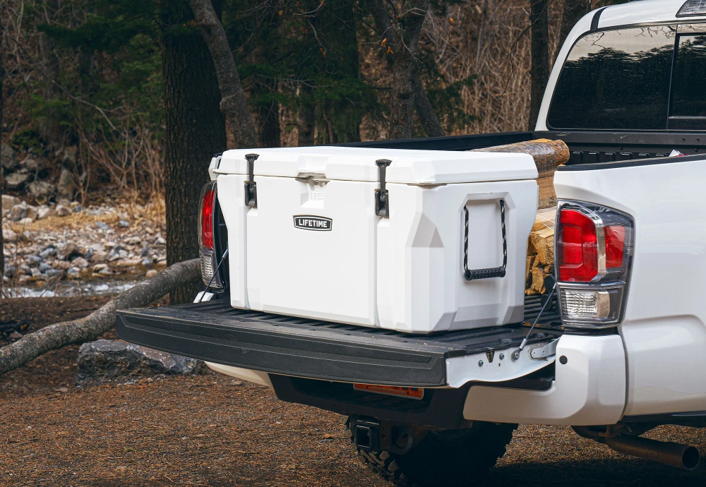 portable cooler box