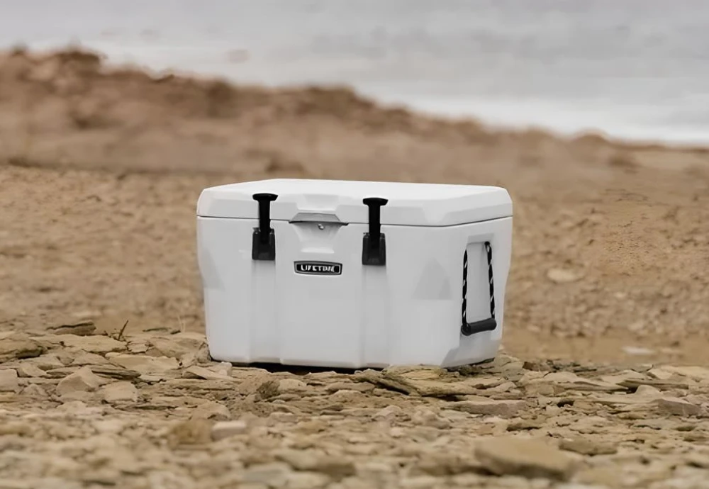 portable cooler box