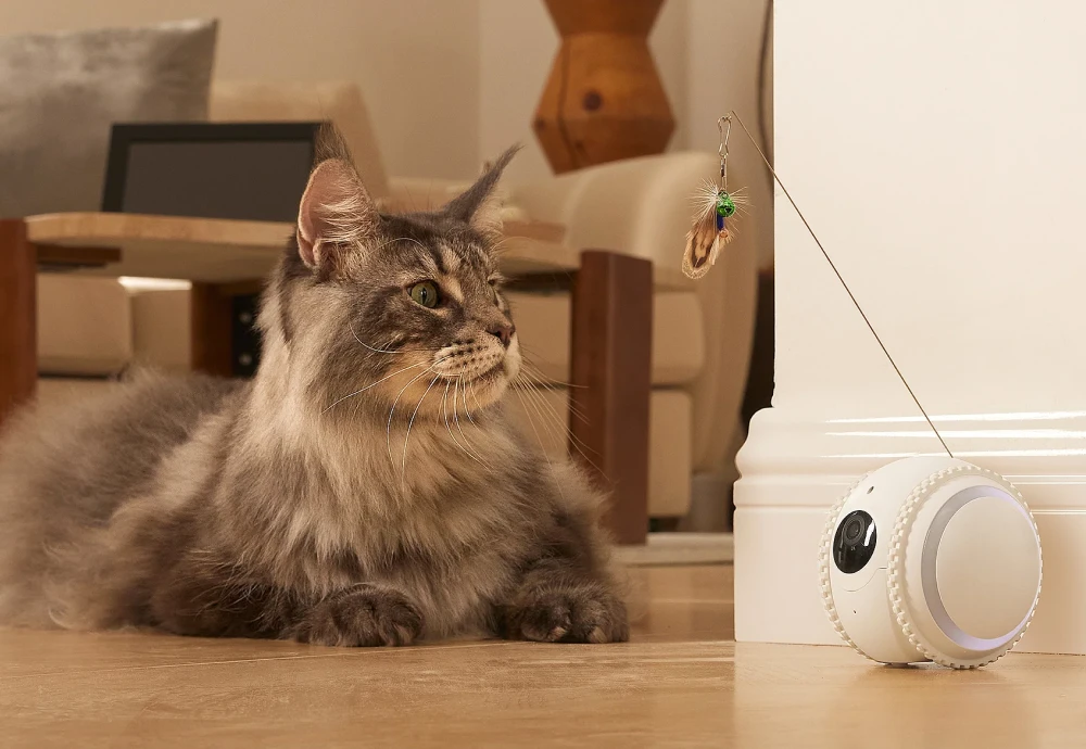 best pet surveillance camera