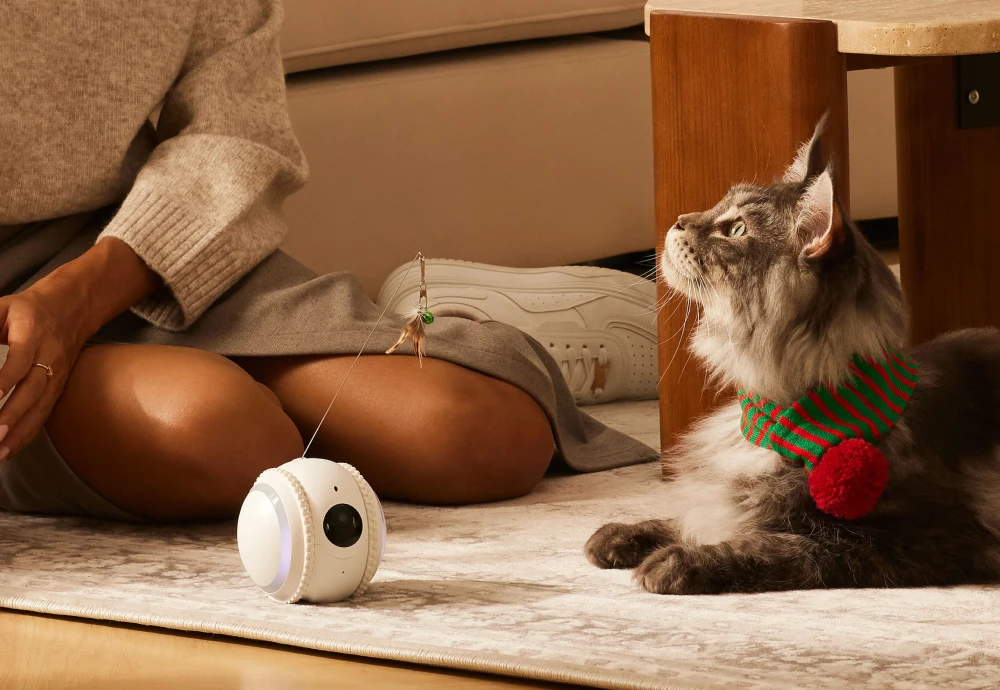 home camera for pets