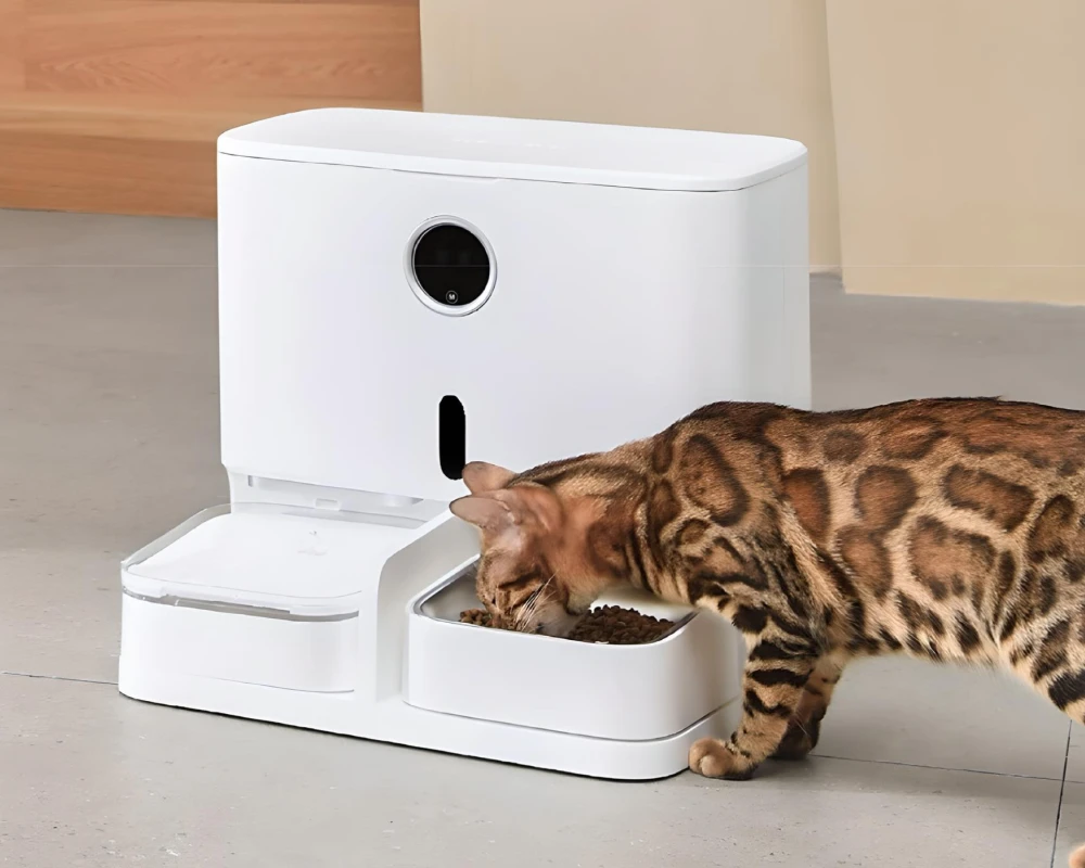 dog automatic pet feeder