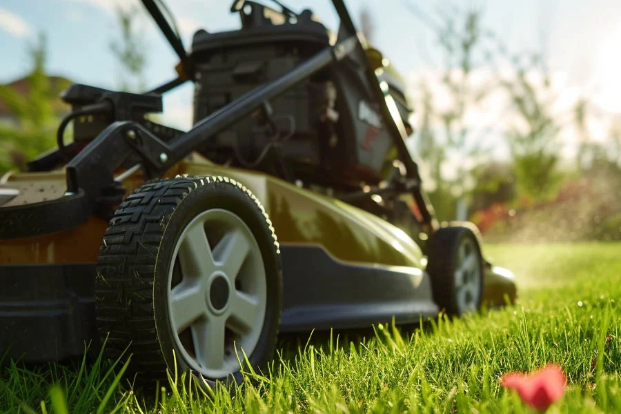 best self-propelled lawn mower